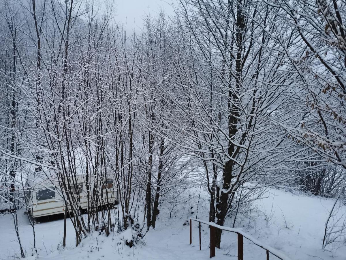 Cabana Lucia Tarcău-Gheuca Esterno foto
