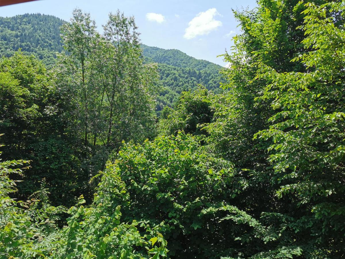Cabana Lucia Tarcău-Gheuca Esterno foto